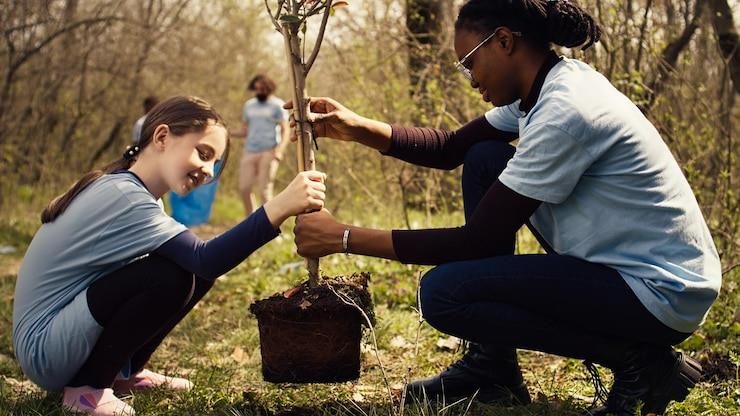 A woman and a child planting a young tree together